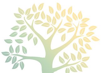Stylized illustration of a tree with green and yellow gradient leaves and branches, set against a white background. The tree has multiple branches and a soft, faded appearance.