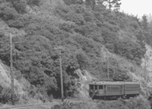 A vintage train with two cars travels along tracks beside a hillside covered in dense trees and bushes. Power poles line the edge of the railway. The image is in black and white.