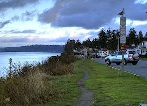 A narrow grassy path runs beside a calm shoreline with houses and trees in the background; a parked SUV and a seagull perched on a sign are visible under a cloudy sky at dusk.