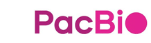 The PacBio logo with the text PacBio in pink and purple letters, with the o represented as a solid pink circle, on a white background.
