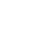 Divi Theme Customization icon